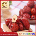 Best Quality Chinese Red Jujube with Good Taste